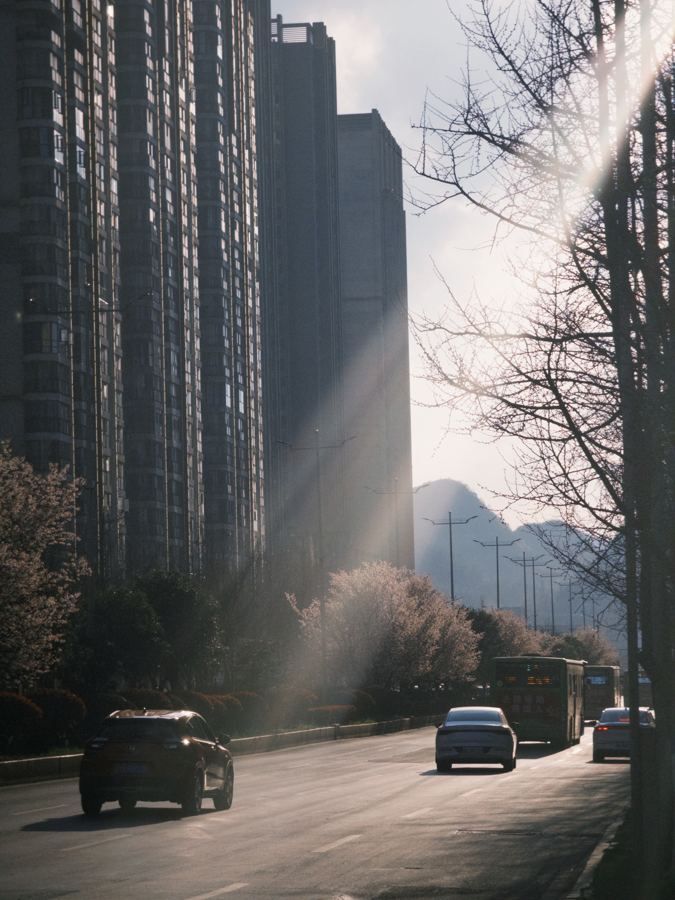日常 随拍 2025-03-25