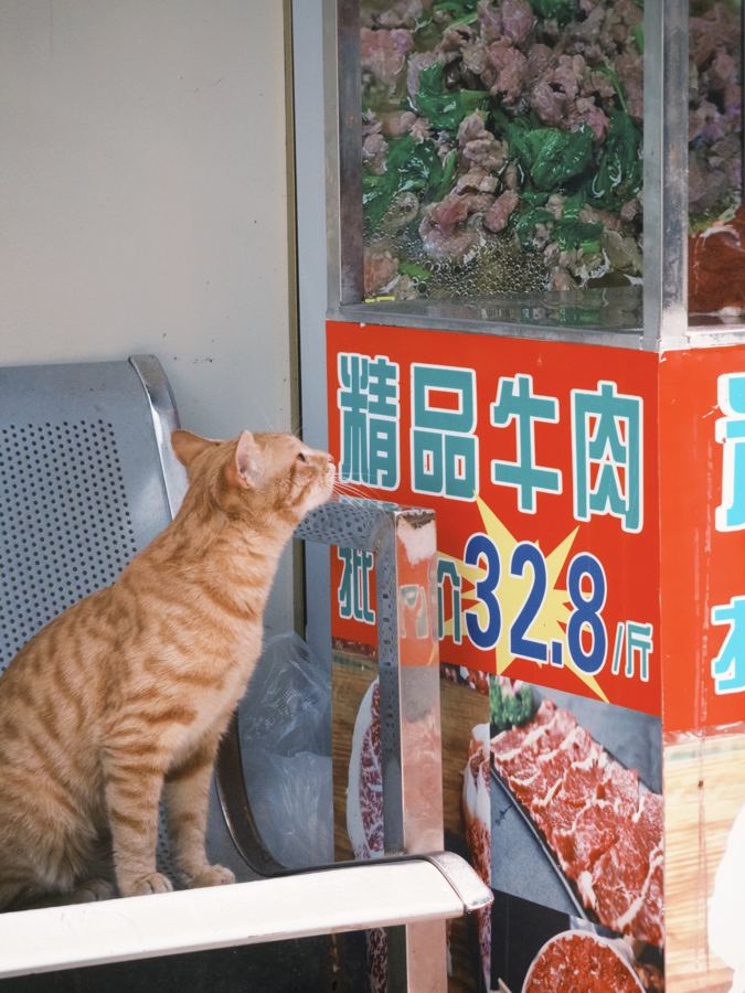 日常 随拍 2025-05-01