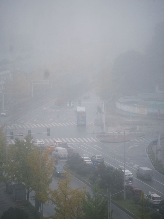 日常 随拍 2025-11-05