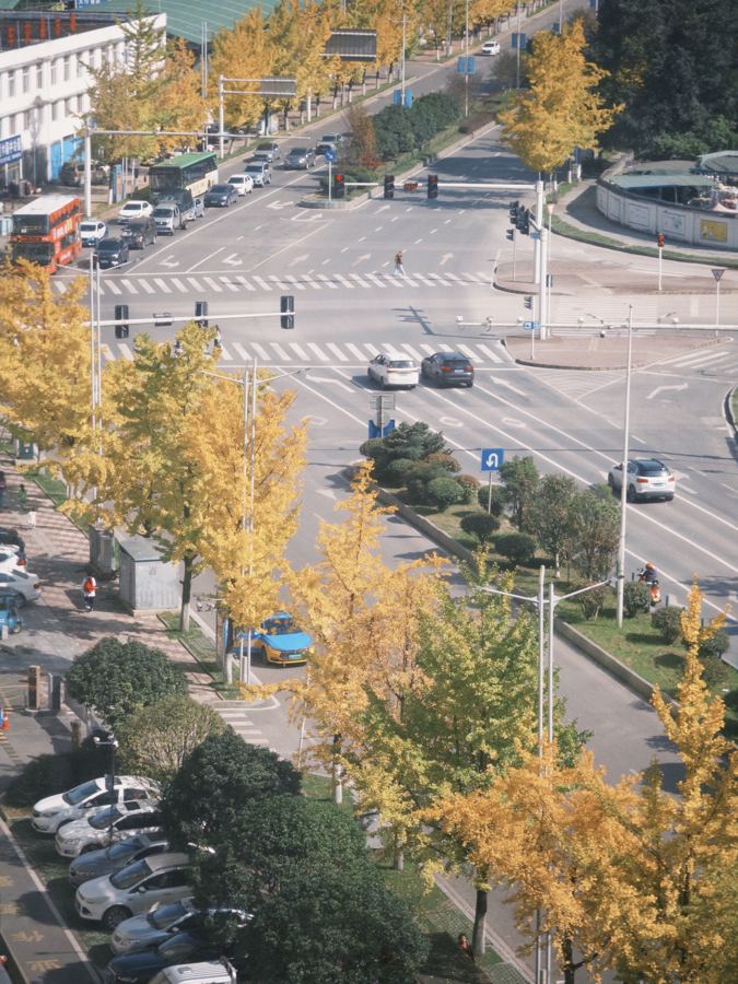 日常 随拍 2025-11-07