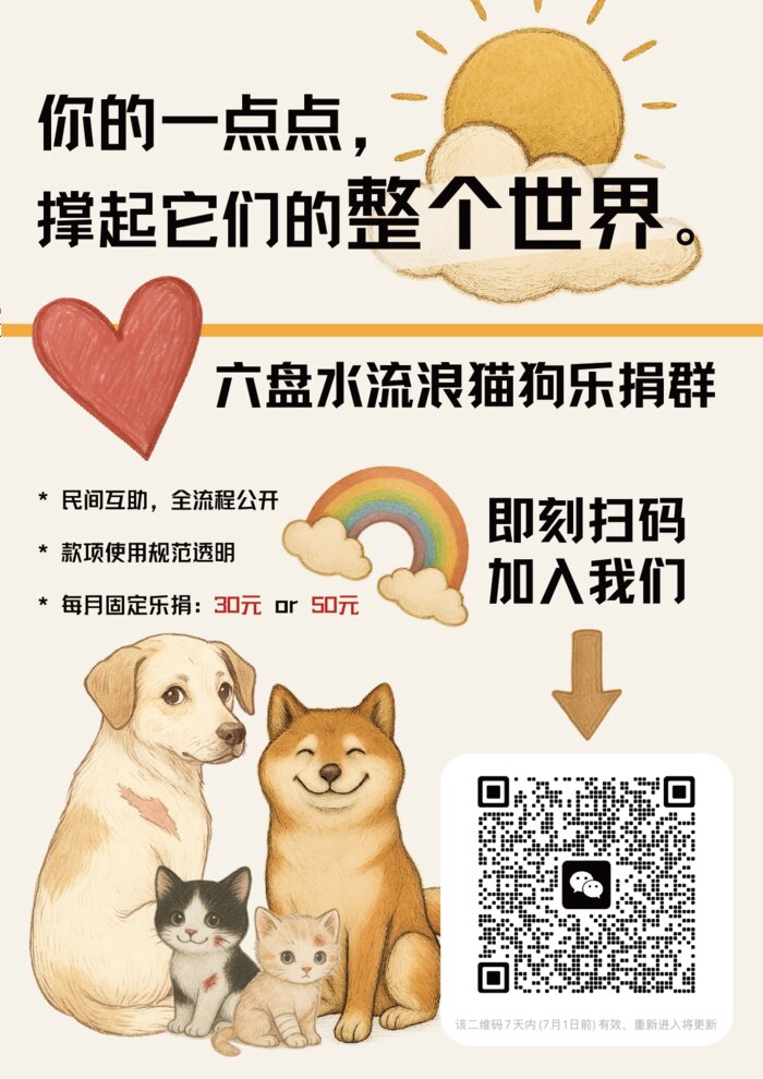 流浪猫狗乐捐公益海报